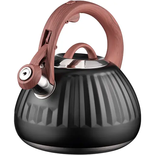 Чайник Ardesto Gemini 2.5 л нержавеющая сталь