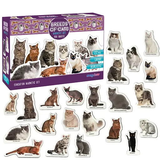 Набір магнітів Magdum "Породи кішок" ML4031-13 EN