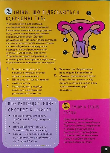 Розширення світогляду: Про це в цифрах. Цікаво про секс і дорослішання - фото 4