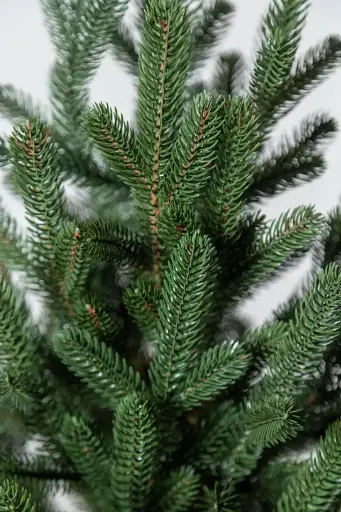 Елка искусственная в горшке литая Венская 1.1 м Зеленая  - фото 3