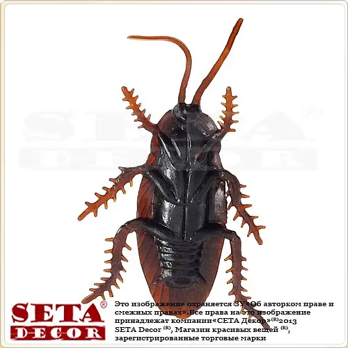 Прикол Таракан - фото 2