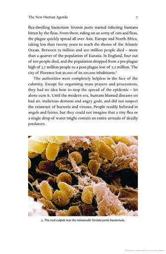 Homo Deus: A Brief History of Tomorrow - фото 8