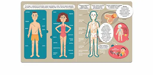 Книга Я пізнаю світ. Твоє дивовижне тіло. Книжка з віконцями. Автор - Галина Дерипаско (Школа) - фото 4