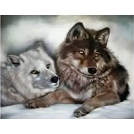 Алмазна вишивка мозаїка стразами повна викладка на підрамнику "Відданість" 40 * 30 вовки - фото 1