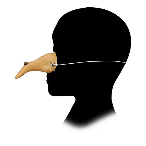 Ніс Баба Яга - фото 1