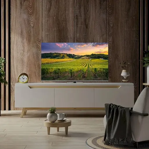 Телевізор Thomson QLED 43QG5C14 - фото 7