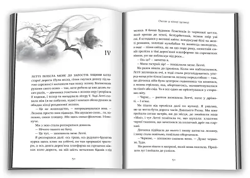 Океан у кінці вулиці - фото 2