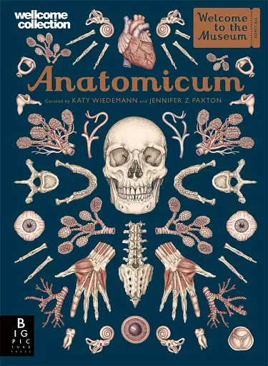 Anatomicum. Welcome to the Museum
