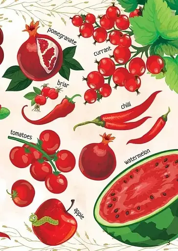 Дитячий простір : Мої улюблені фрукти та овочі / My favorite vegetables and fruits (Українська ) - фото 4