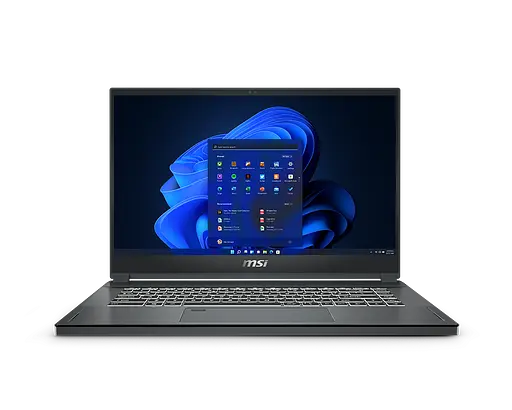 Ноутбук MSI WS66 10TKT i7-10875H, 32Gb, 1000Gb SSD, Quadro RTX3000-6GB