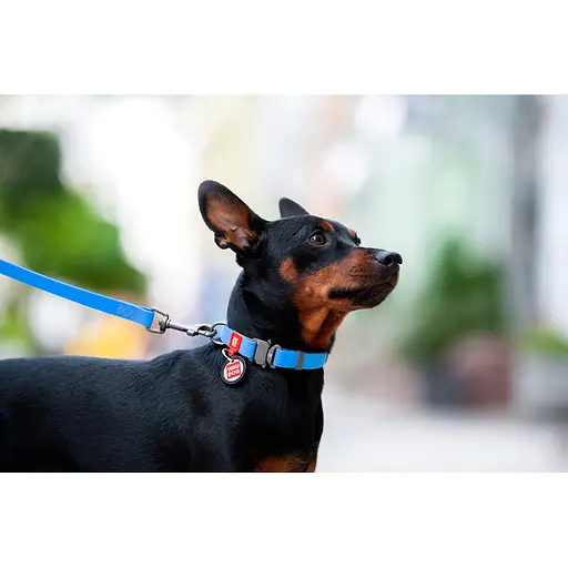 Нашийник для собак водостійкий Waudog Waterproof з QR-паспортом металічна пряжка-фастекс Ш 25 мм Д 34-49 см блакитний - фото 5