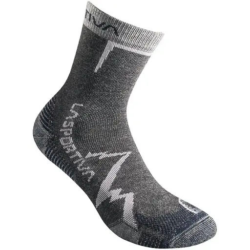 Шкарпетки La Sportiva Mountain Socks M Сірий LaSportiva (1052-29P900618 M)