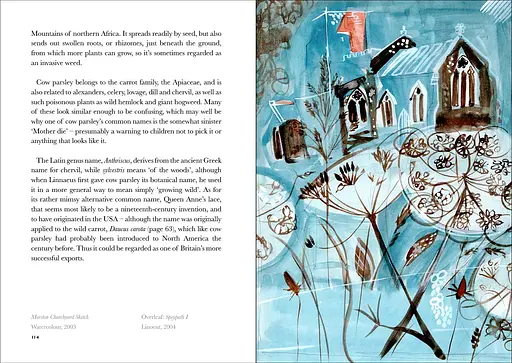 The Book of Wild Flowers - фото 3