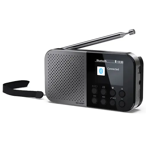 Радиоприемник Sharp DR-P520 Storm Grey - фото 8