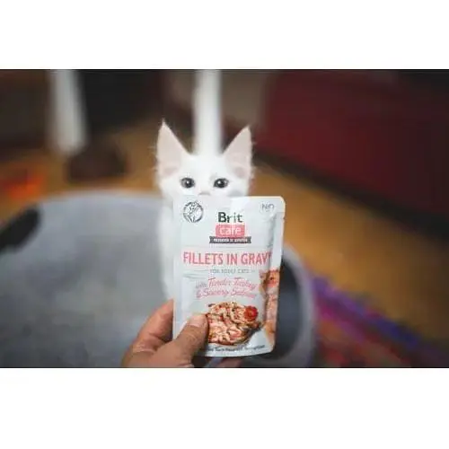Влажный корм Brit Care Cat Pouch для кошек филе в соусе нежная индейка и пикантный лосось 85 г - фото 3
