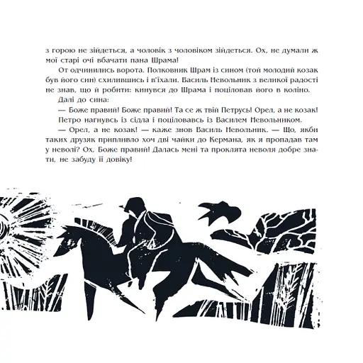 Чорна рада. Хроніка 1663 року - фото 7