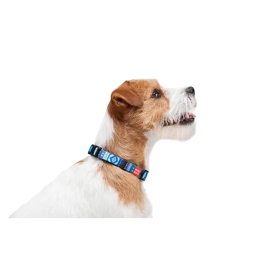 Нашийник для собак нейлоновий Waudog Nylon з QR-паспортом "Етно синій" пластиковий фастекс Ш 15 мм Д 25-35 см - фото 5