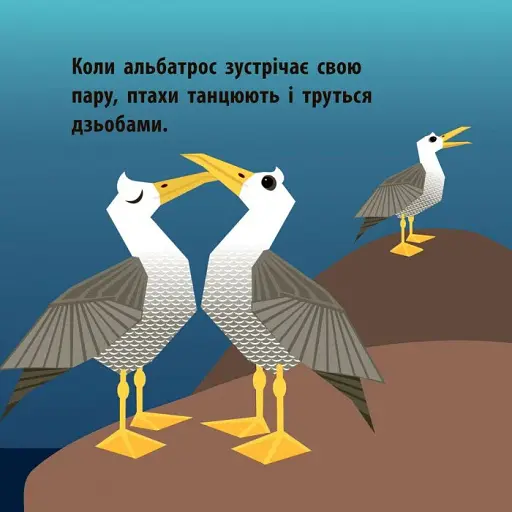 Повітряний екіпаж - фото 6