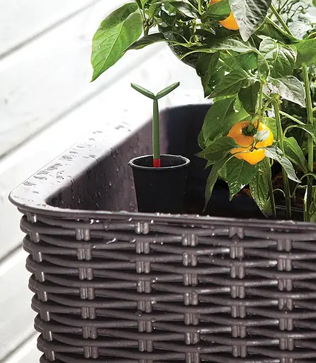 Грядка для рослин Keter Easy Grow коричнева - фото 4