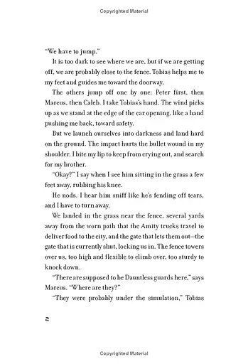 Insurgent. Book 2. Anniversary edition - фото 5