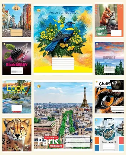 Тетради ученические 60 листов клетка Тверда ТЕ41601 Мікс 1, 10 шт. в упаковке