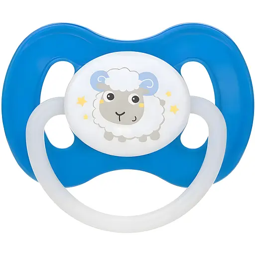 Силиконовая симметричная пустышка Canpol babies Bunny&Company 6-18 мес. синий (23/270_blu)