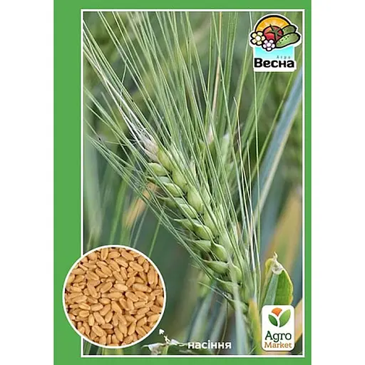 Пшениця озима ТМ Весна Житниця Одеська 10 кг (167042) - фото 1