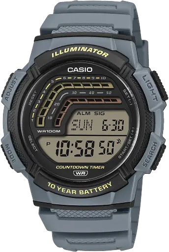 Часы Casio Timeless Collection WS-1800-2AVEF