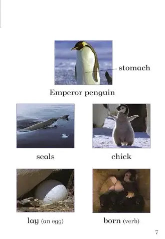 Ice Worlds. Ladybird Readers. Level 3 - фото 3