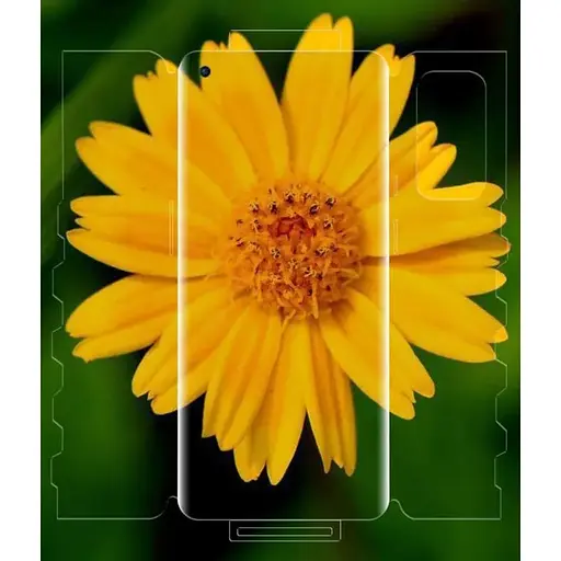 Захисна плівка DK HydroGel 360° Butterfly для OnePlus 9 clear - фото 2