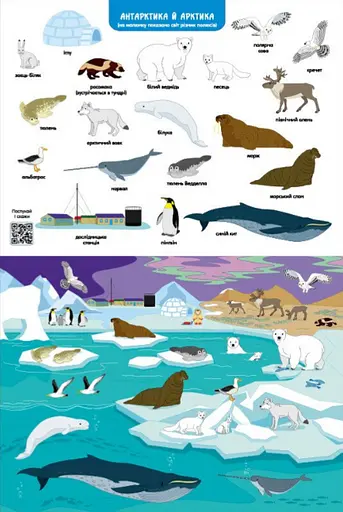 Книга Ура! Ми заговорили. Яка і коли? (Ранок) - фото 3