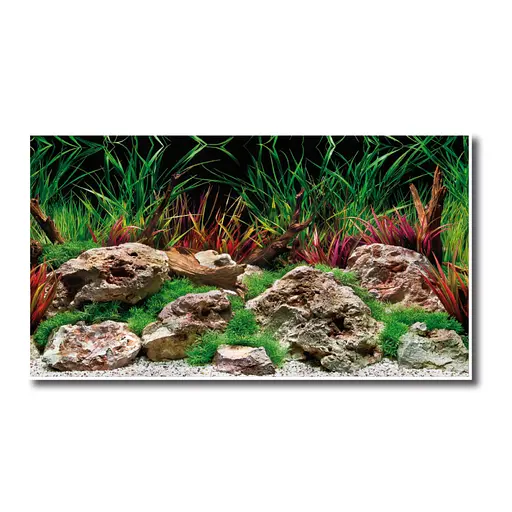 Фон двосторонній Amtra Escape 60 см х 15 м (рулон) - фото 2