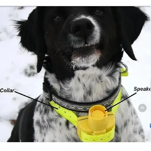 Біпер для мисливських собак Janpet JPD100 водонепроникний жовтий - фото 5