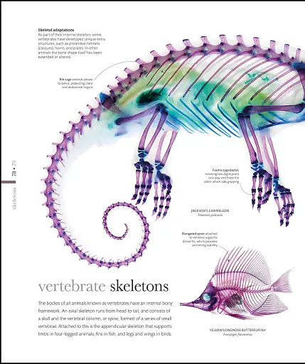 The Science of Animals - фото 11