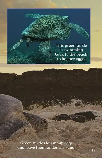 Where Animals Live. Ladybird Readers. Level 3 - фото 5