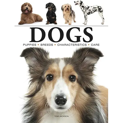 Dogs - Джексон Том - фото 1