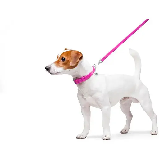 Повідець для собак Waudog Glamour шкіряний, рожевий - фото 3