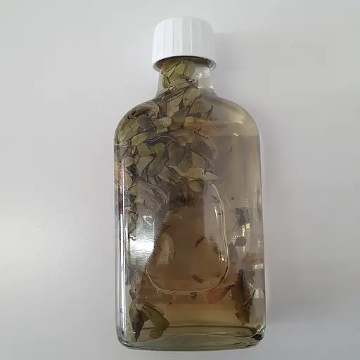 Настоянка на листі мучниці толокнянки 200 мл - фото 2