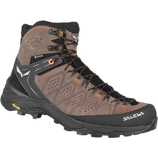 Черевики Salewa MS Alp Trainer 2 Mid GTX 45 Коричневий (1054-013.001.5029)