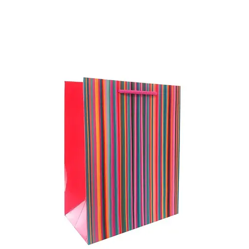 Подарочный пакет (большой горизонтальный в ассорт.)