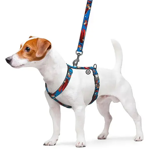 Шлея для собак Waudog Nylon анатомічна H-подібна з QR-паспортом, малюнок "Сила Супермена", пластиковий фастекс, S - фото 4