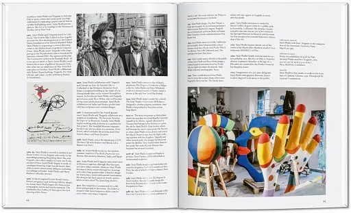 Niki de Saint Phalle - фото 12