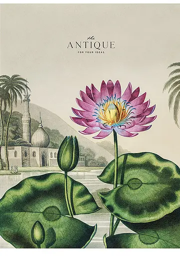 Комплект 3 шт общих тетрадей. Тетрадь Школярик А4 48 л. в линию 5079 4823088220681 - фото 4