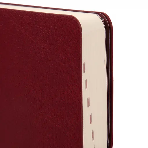 Записник деловой Leo Planner Alpha датированный 12 х 20 см 352 страницы (252630) - фото 3