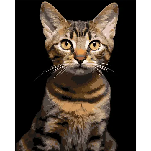 Картина по номерам Strateg Полосатый кот на черном фоне 40 x 50 см (AH1284) - фото 1