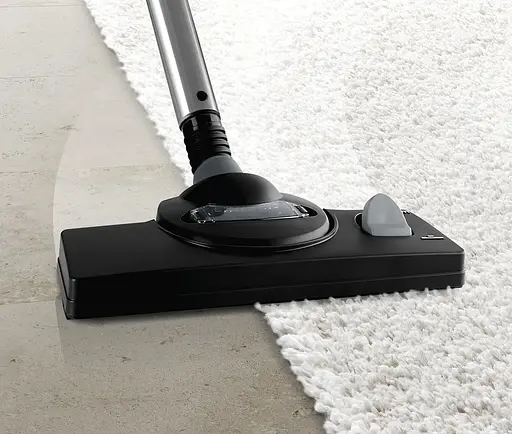 Пилосос миючий Bosch BWD41700 (00000024778) - фото 3