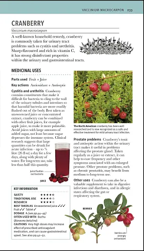 Herbal Remedies Handbook - фото 8