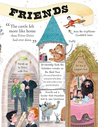 Pocket Potters: Harry Potter - Ролінґ Джоан - фото 7