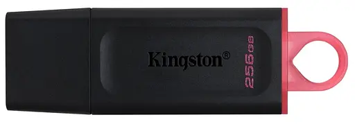 Flash Drives Kingston DataTraveler Exodia 256GB USB 3.2 (DTX/256GB) Black/Pink (6622894) - фото 1