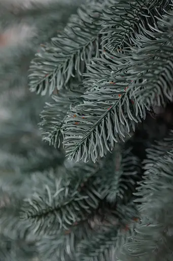 Лита штучна ялинка LUGI 1.8 м блакитна Карпатська V18 KOS-KARPBL18  - фото 8